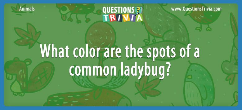 What color are the spots of a common ladybug?