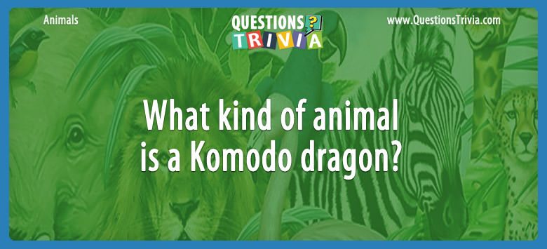 What kind of animal is a komodo dragon?