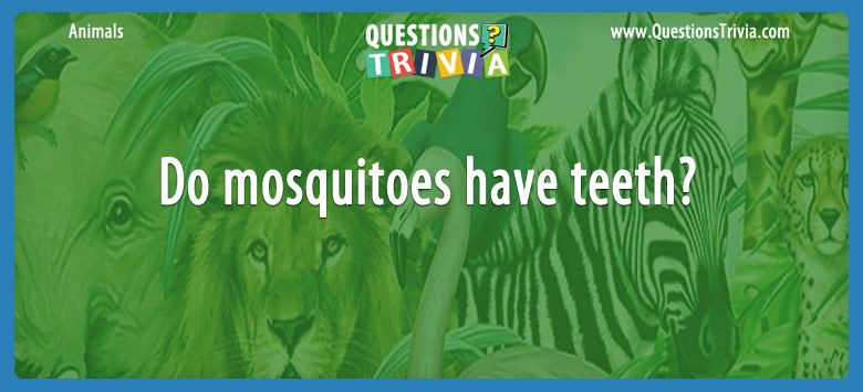 Do mosquitoes have teeth?