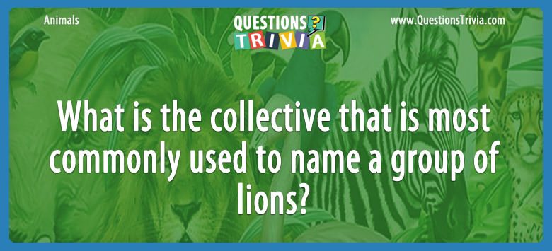 What is the collective that is most commonly used to name a group of lions?