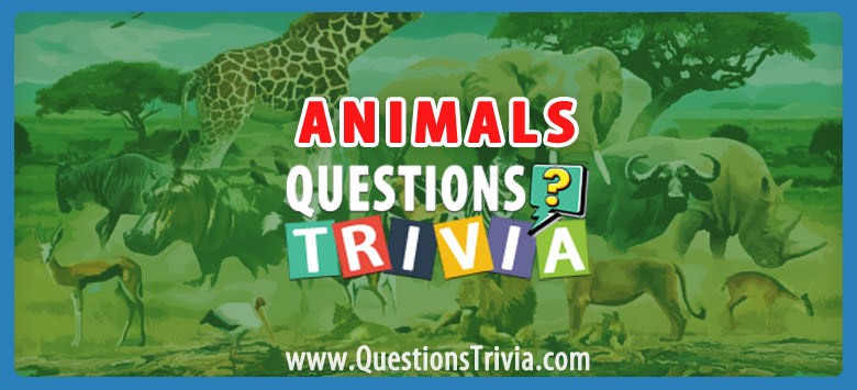 animal trivia category