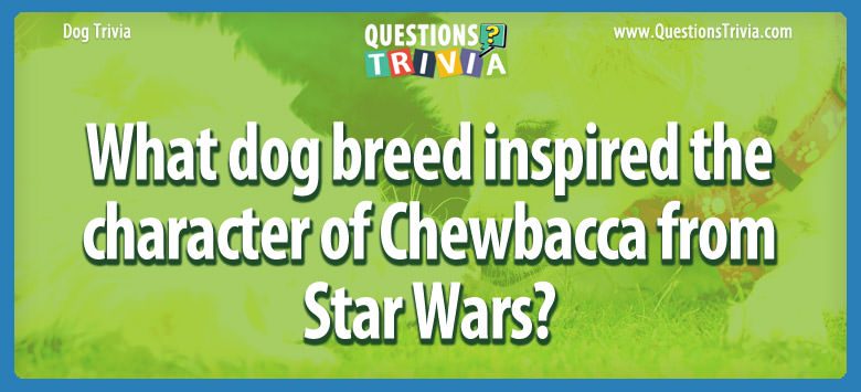 What dog breed inspired the character of chewbacca from star wars?