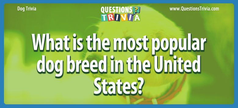 What is the most popular dog breed in the united states?