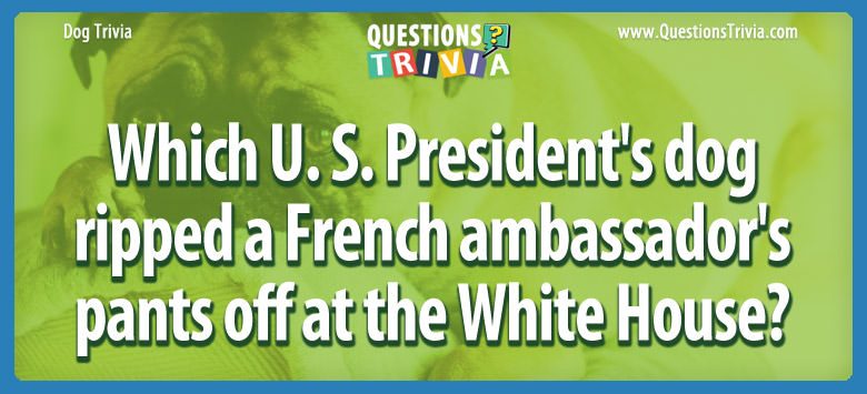 Which u. s. president’s dog ripped a french ambassador’s pants off at the white house?