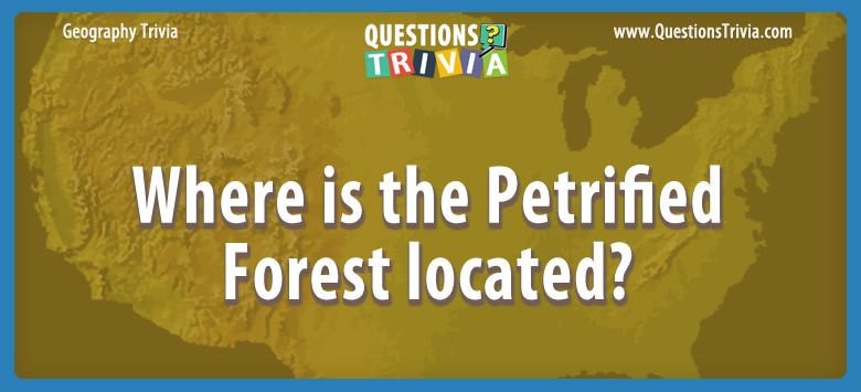 Where is the petrified forest located?