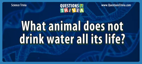 Question What Animal Does Not Drink Water All Its Life 