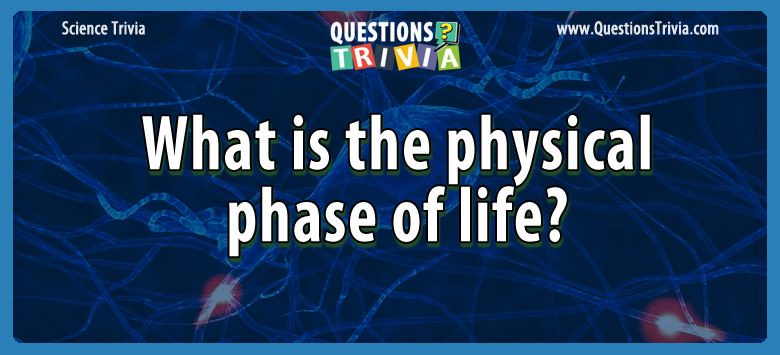 What is the physical phase of life?