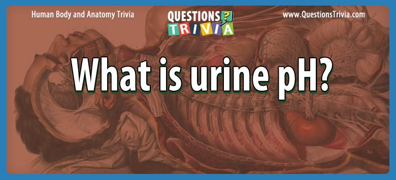 What is urine ph?