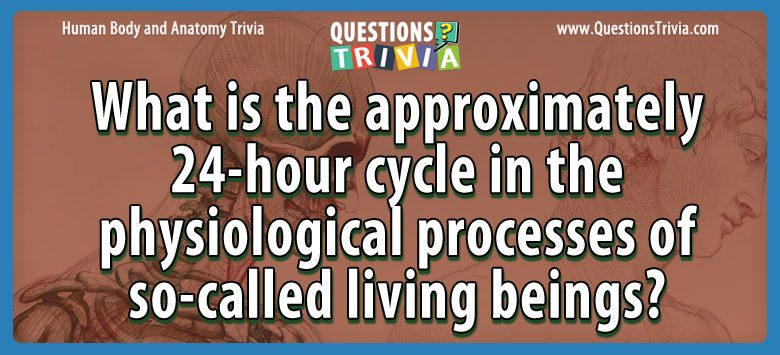 Body Trivia approximately 24 hour cycle physiological processes