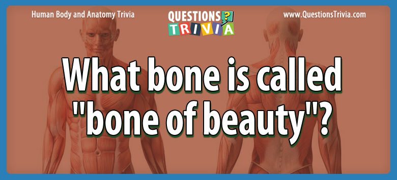 Question What Bone Is Called Bone Of Beauty