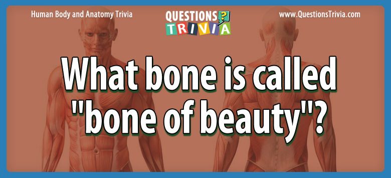 What bone is called “bone of beauty”?