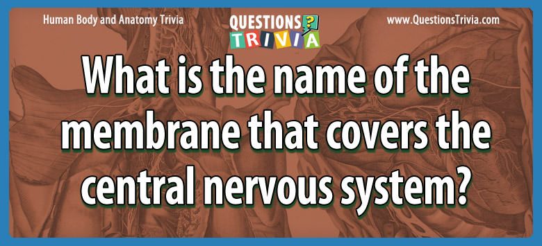 What is the name of the membrane that covers the central nervous system?