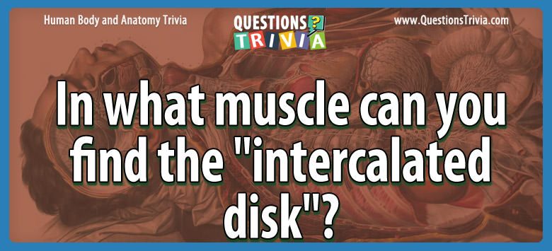 In what muscle can you find the “intercalated disk”?