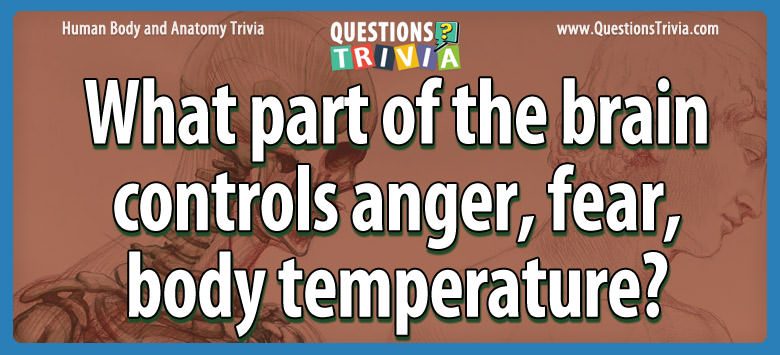 What part of the brain controls anger, fear, body temperature?