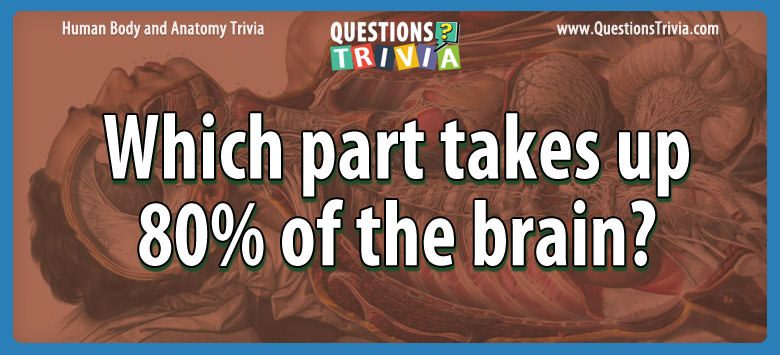 Body Trivia part takes 80brain