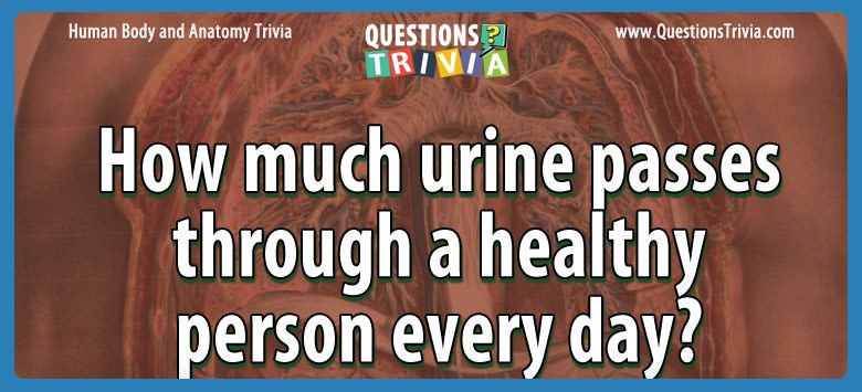 How much urine passes through a healthy person every day?