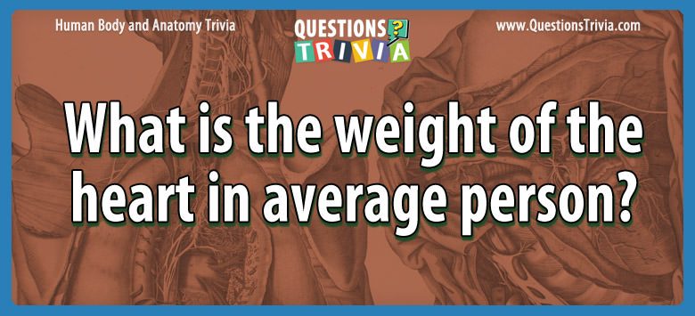 What is the weight of the heart in average person? What is the weight of the heart in average person?