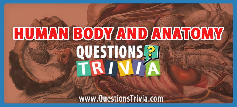 Human Body and Anatomy Trivia Questions and Answers