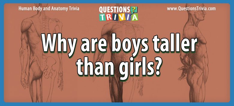 Why are boys taller than girls?