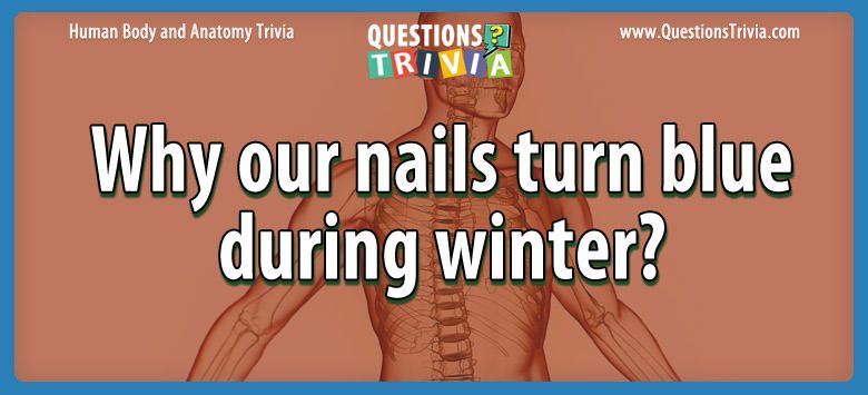 Why our nails turn blue during winter?