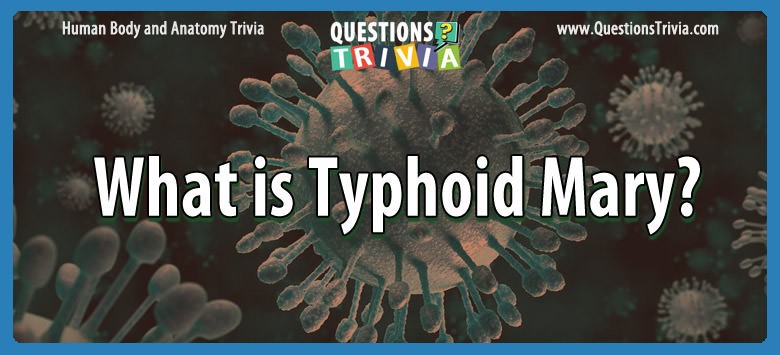 What is typhoid mary?