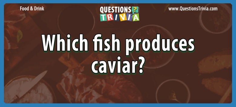 Which fish produces caviar?