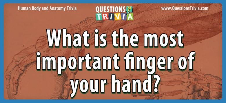 What is the most important finger of your hand?